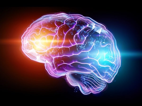 برای تقویت حافظه در کنکور چه بخوریم؟